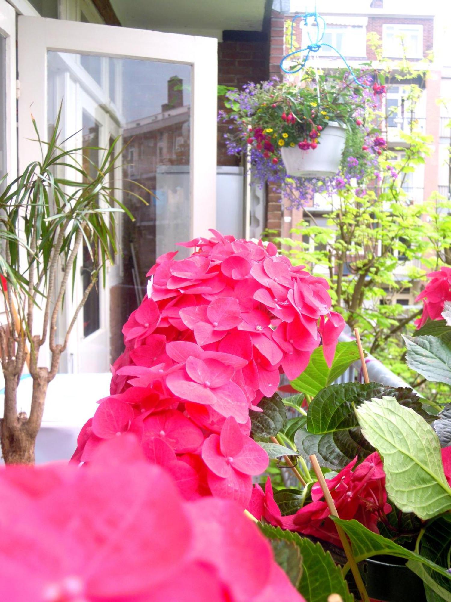 Missortelia B&B Amsterdam Ngoại thất bức ảnh