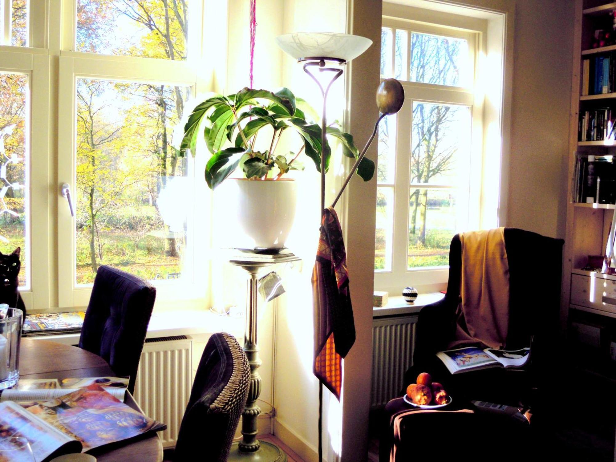 Missortelia B&B Amsterdam Ngoại thất bức ảnh