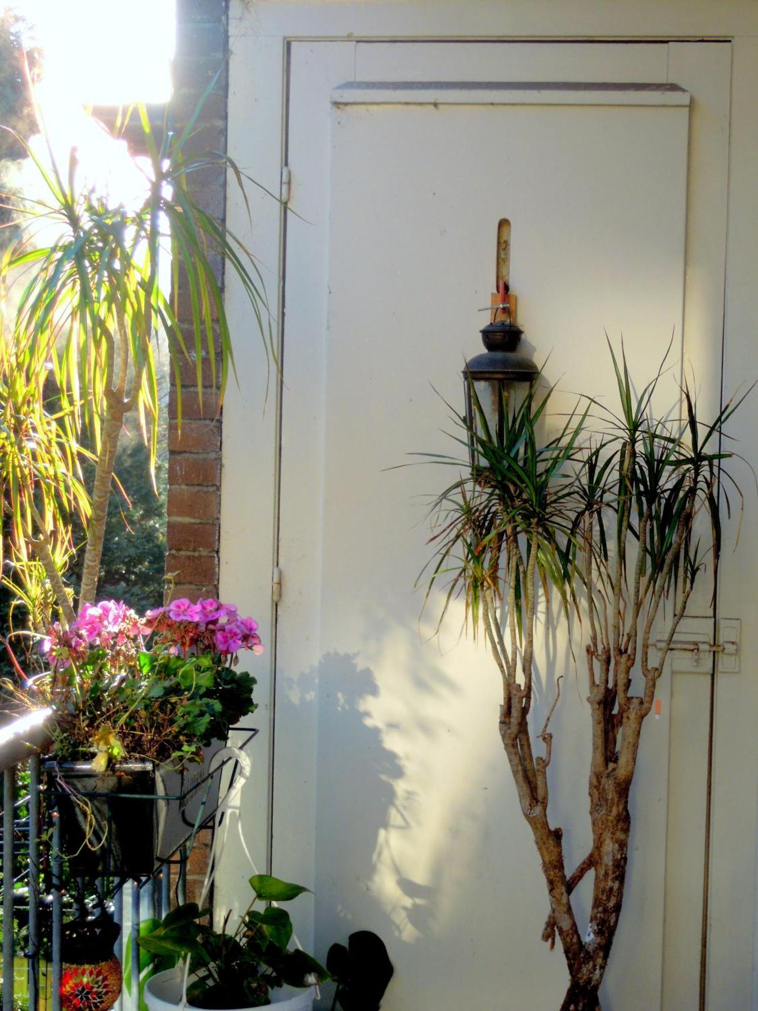 Missortelia B&B Amsterdam Ngoại thất bức ảnh